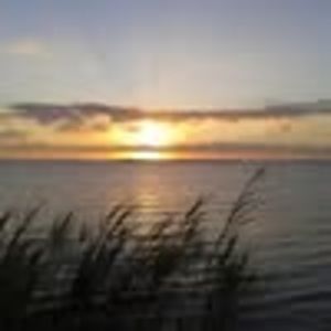 Meet your Posher, Trinitybay